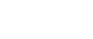 CFS Logo